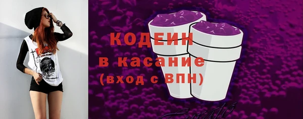 шишки Ельня