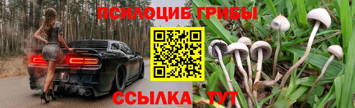 Галлюциногенные грибы MAGIC MUSHROOMS Благодарный