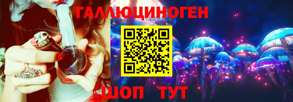 Псилоцибиновые грибы MAGIC MUSHROOMS  Псилоцибиновые грибы Psilocybe  Благодарный 