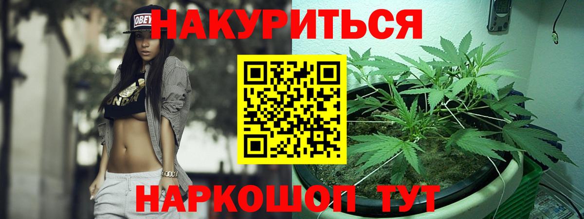 МАРИХУАНА тримм  МАРИХУАНА тримм  Вход с VPN  Благодарный 